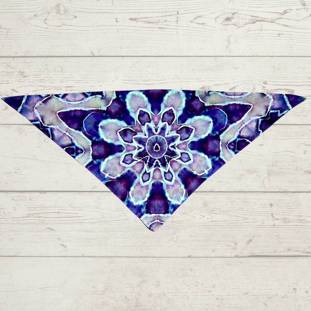 Tie Dye for Pets
